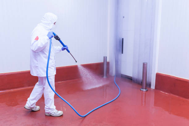 Best Dumpster Area Cleaning  in Little Round Lake, WI