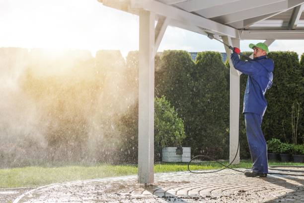 Best Pre-Holiday Cleaning  in Little Round Lake, WI